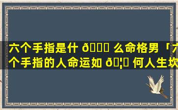 六个手指是什 🐋 么命格男「六个手指的人命运如 🦉 何人生坎坷」